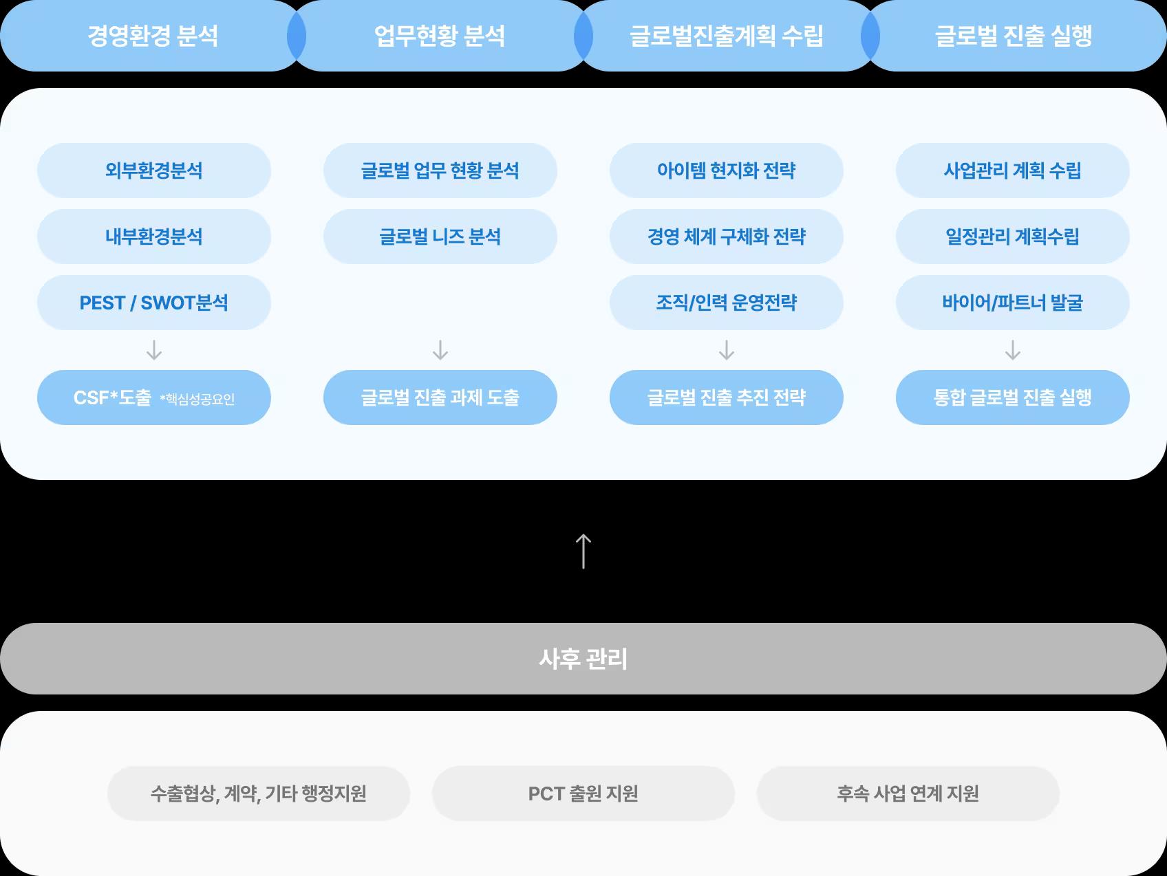 글로벌 진출